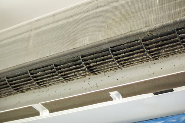 Best Air Duct Cleaning Company Near Me  in Pasadena, CA